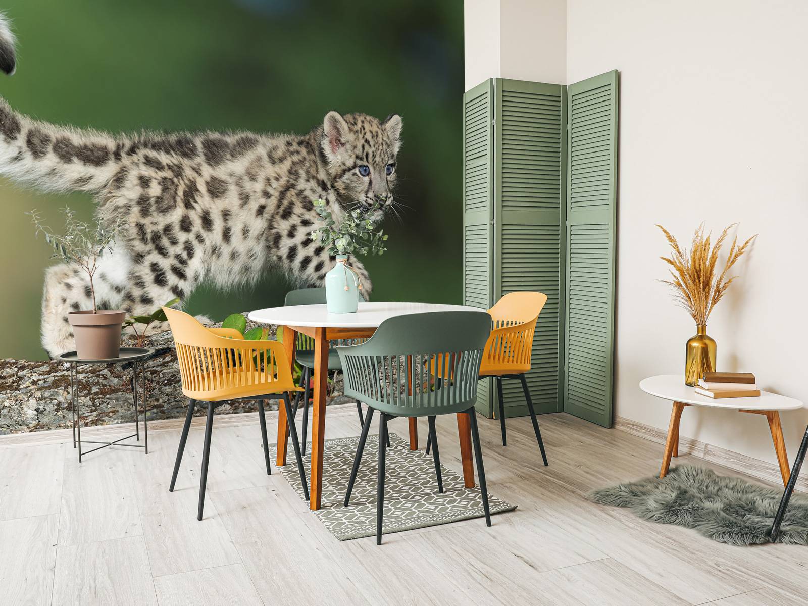 Rratto Di Un Cucciolo Di Leopardo Delle Nevi Immagine Stock