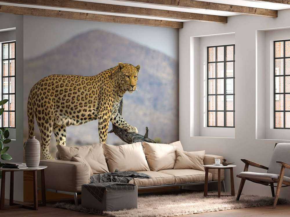 Leopardo in Namibia