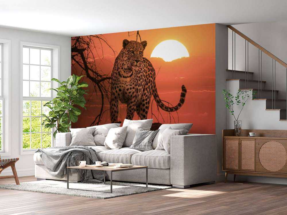 Leopardo con sole al tramonto