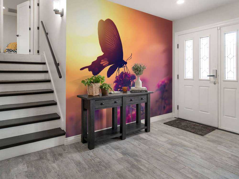 Farfalla con il tramonto