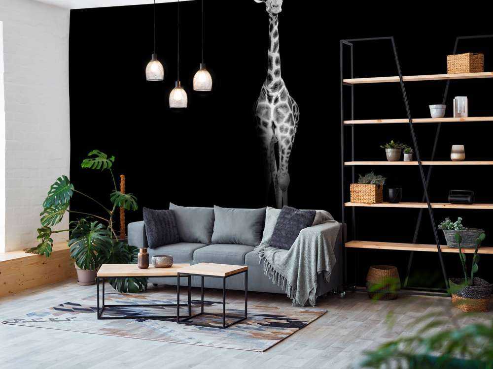 Giraffa in bianco e nero