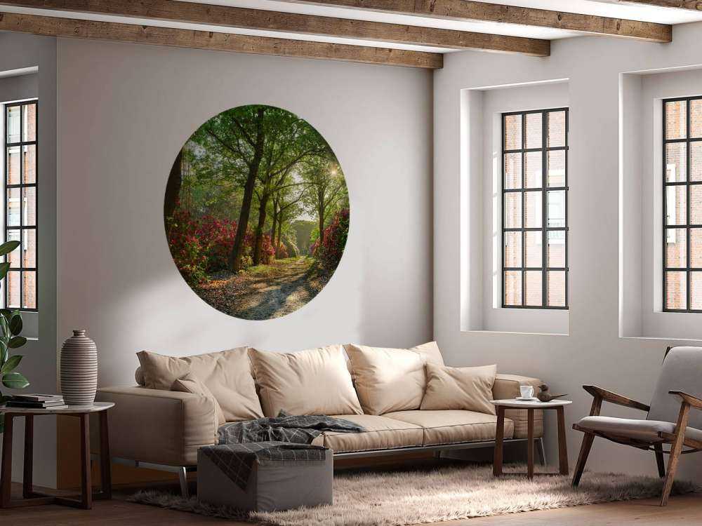 L'alba al sentiero con i rododendri