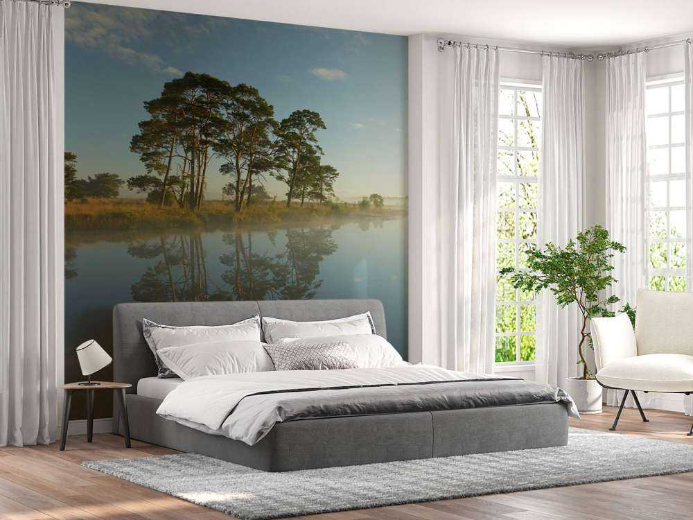 Riflessione nella brughiera