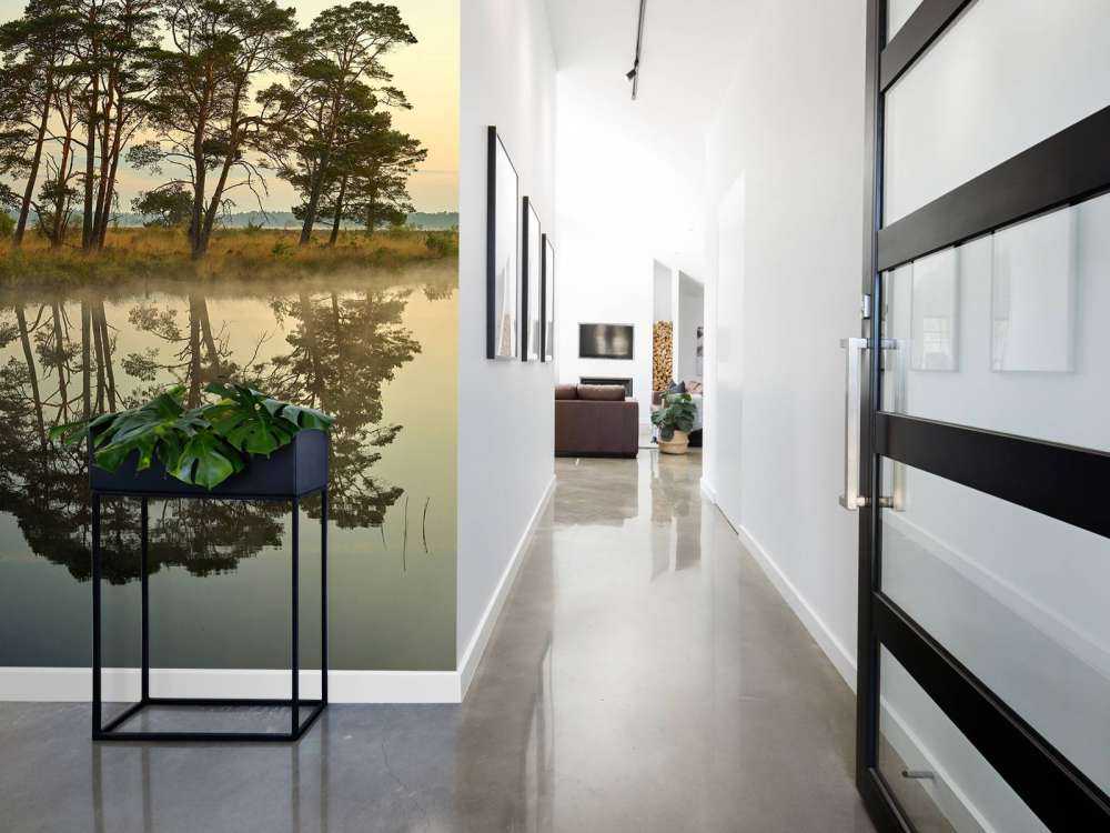 Riflessione nelle vene del bosco