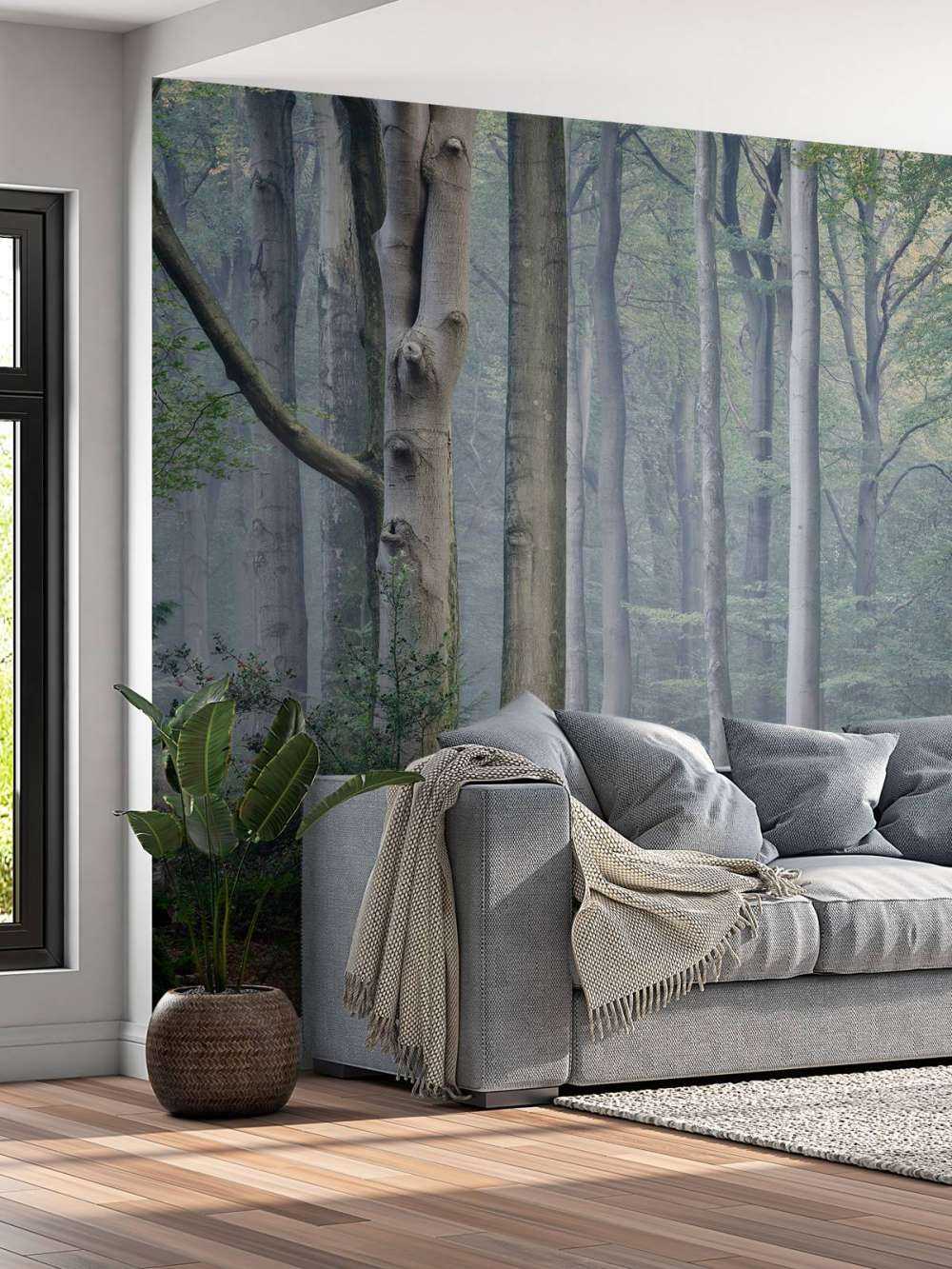 Sentiero attraverso la foresta