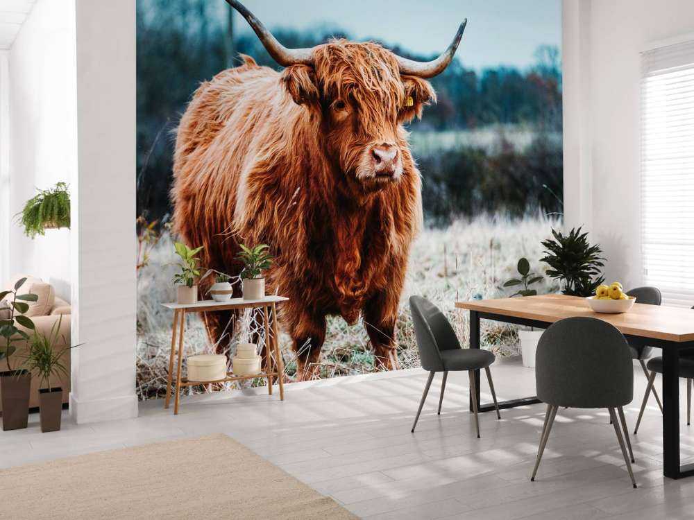 Highlander scozzese nella foresta