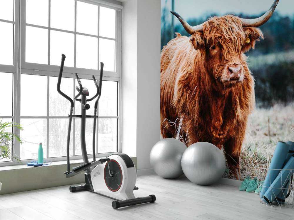 Highlander scozzese nella foresta