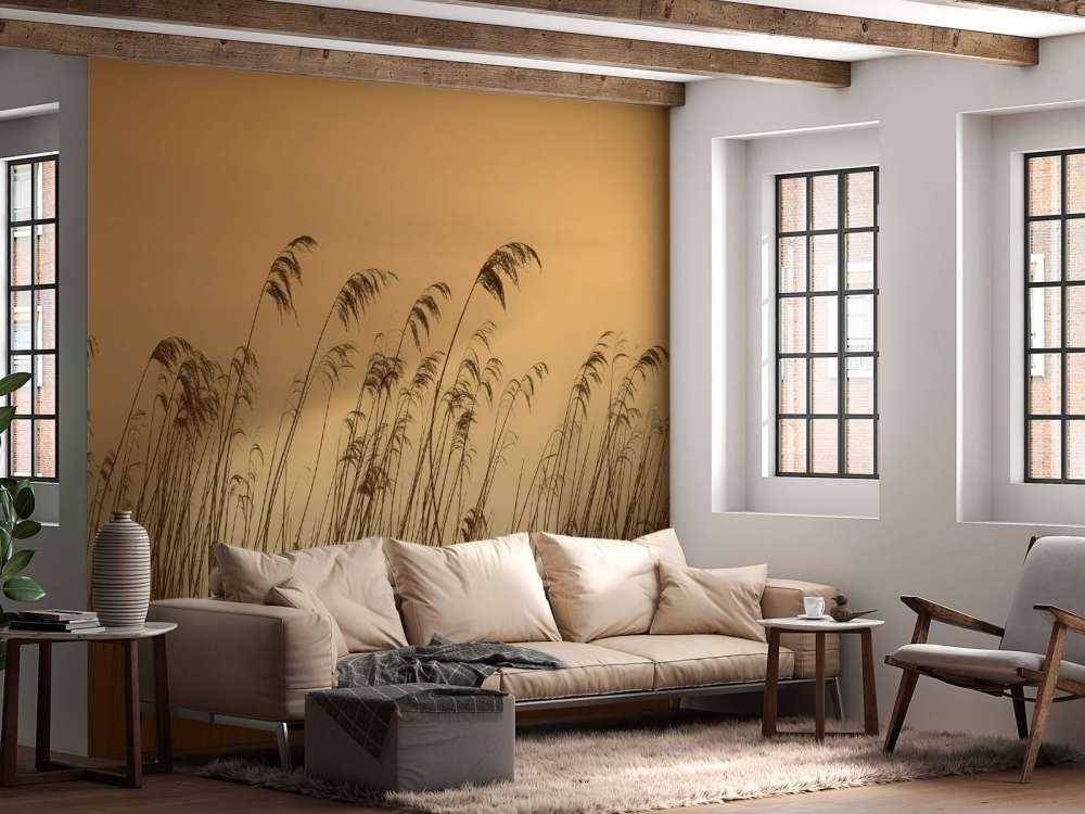 Canna da zucchero sul lungomare