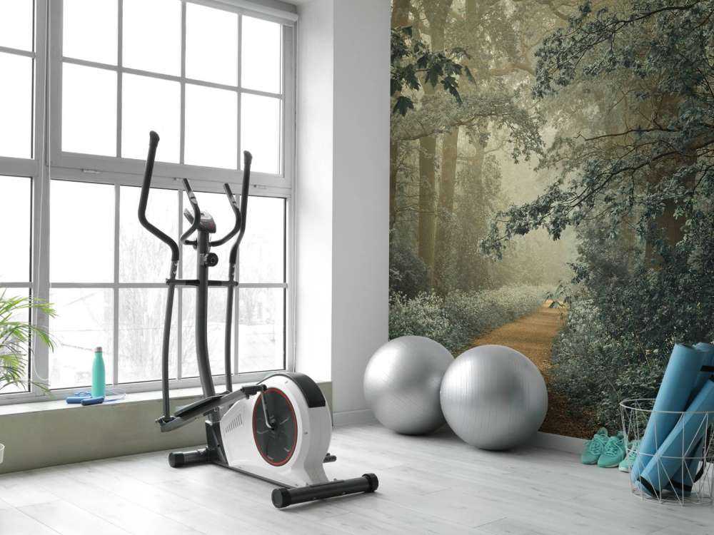 Sentiero nella foresta con nebbia