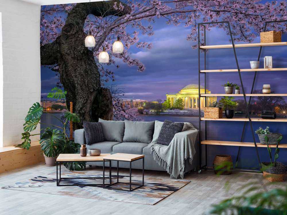 Cherry blossoms around the Jefferson Memorial