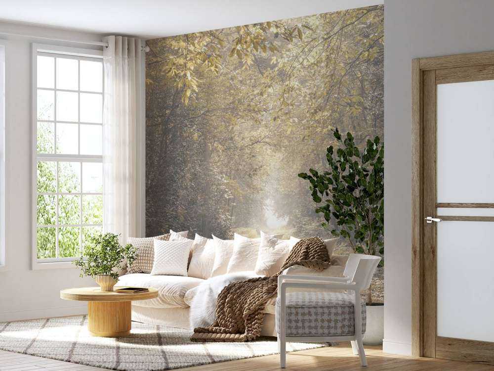 Sentiero attraverso una foresta deserta