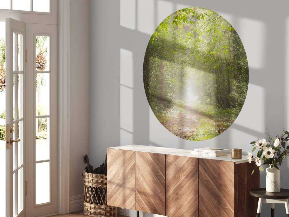 Sentiero attraverso la foresta nebbiosa