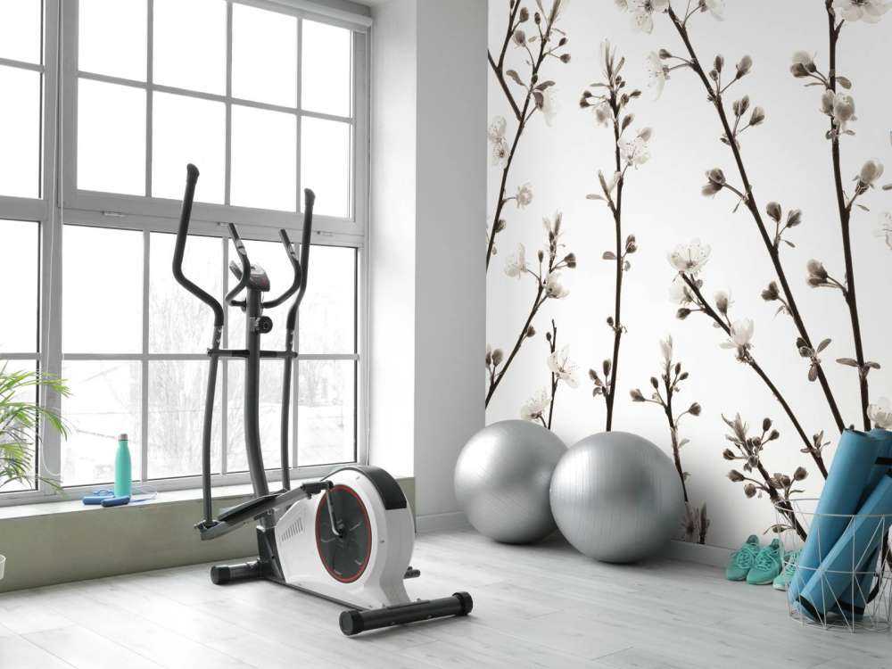 Rami di ciliegio in fiore