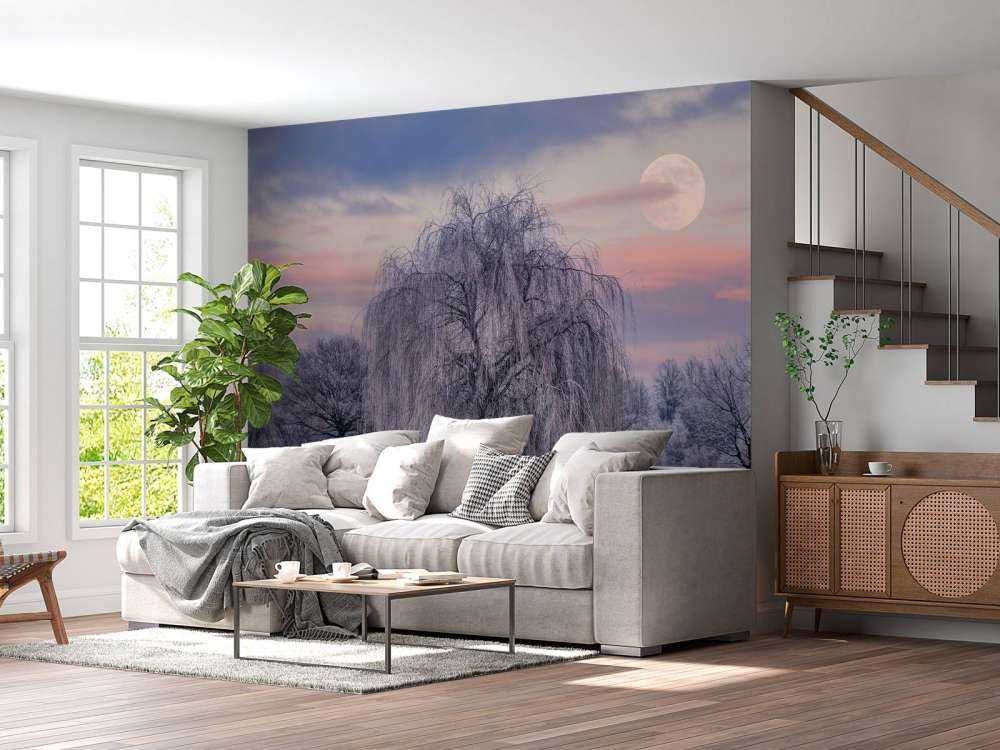 Albero ricoperto di brina