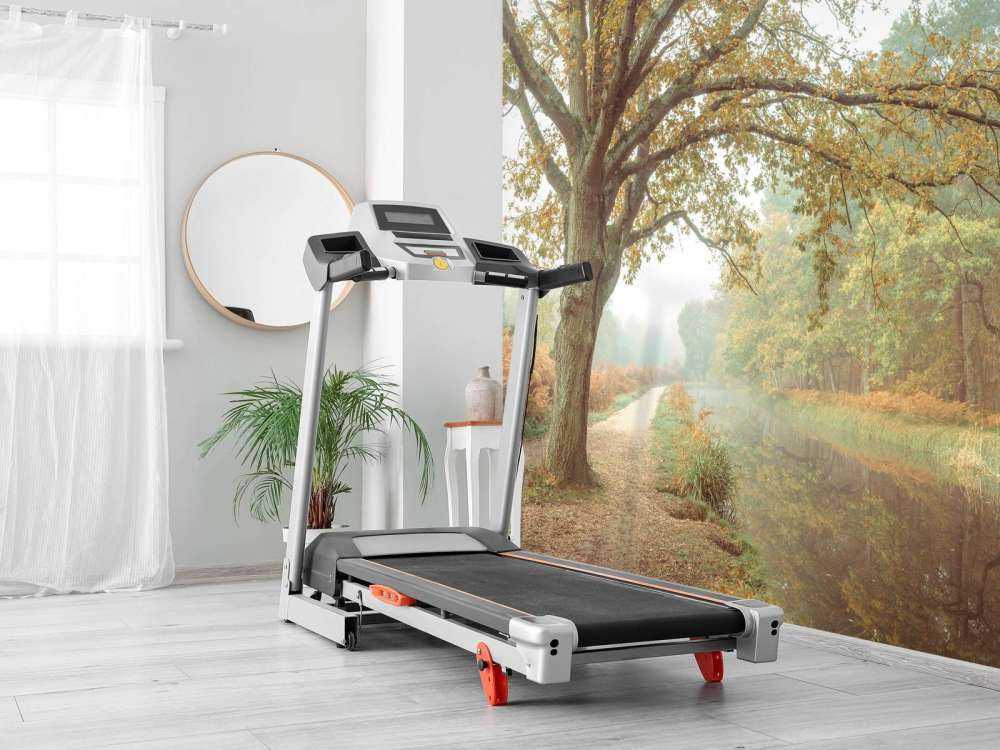 Lago nella foresta autunnale