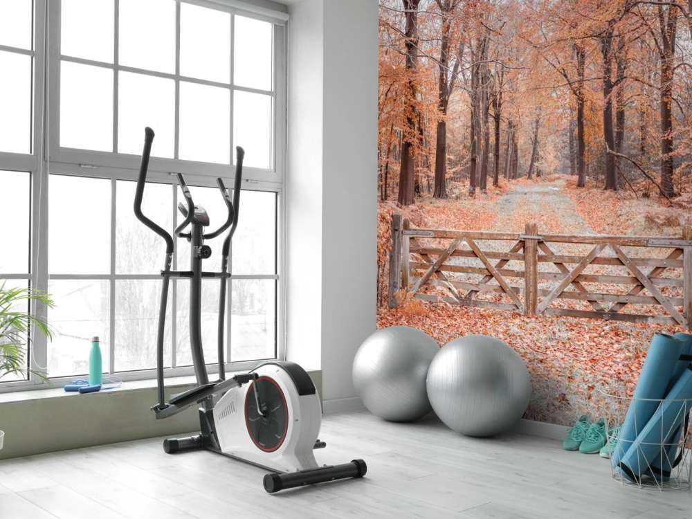 Passaggio alla foresta autunnale