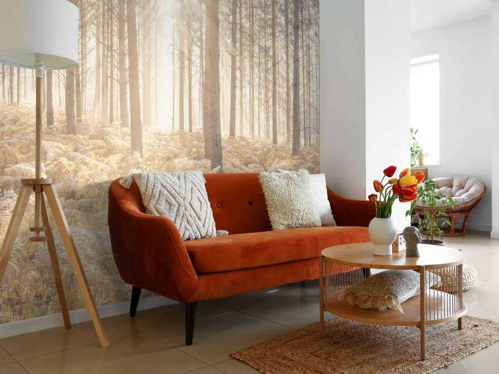 Raggi di sole attraverso la fredda foresta