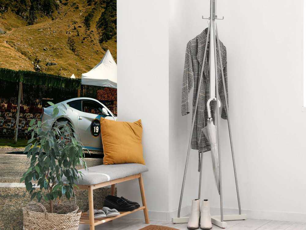 Forza italiana nella natura