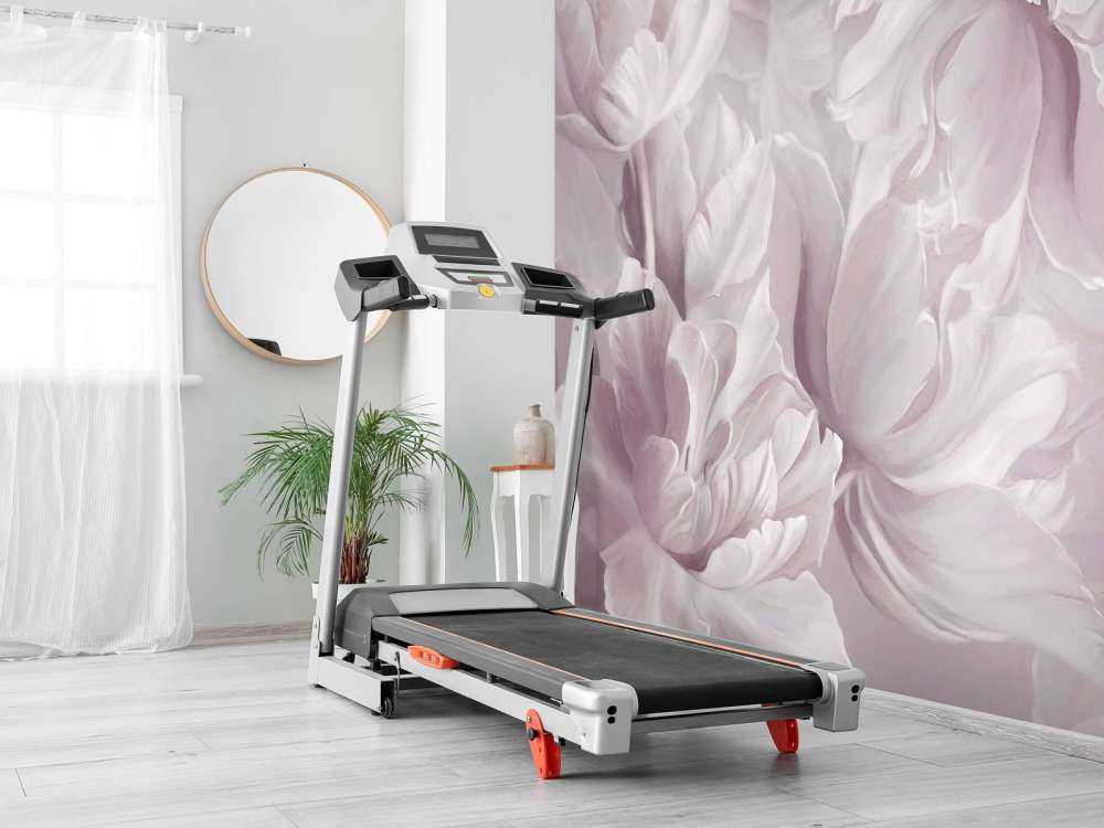 Tulipani Grandi Morbidi