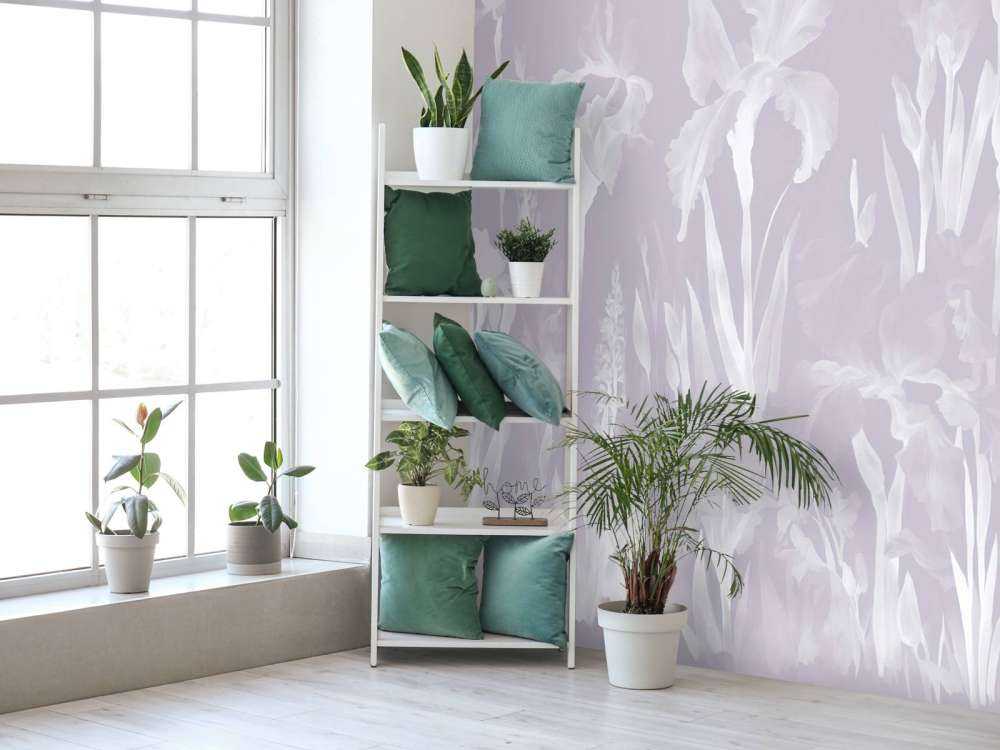 Felice Primavera Viola Sfumato