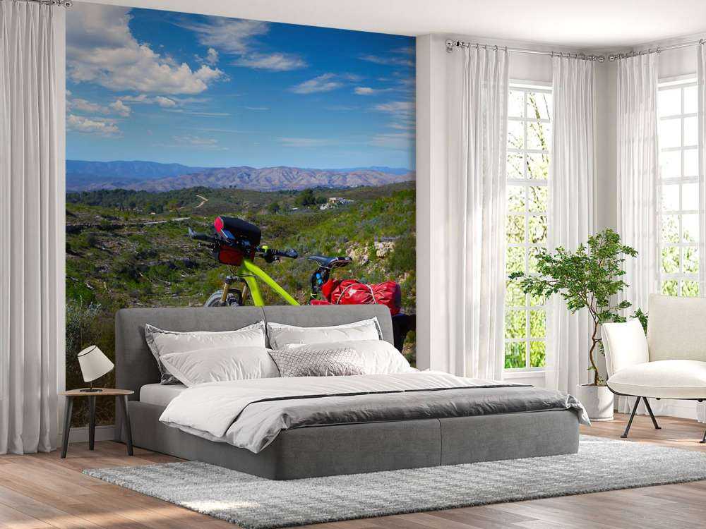 In bicicletta a Valencia