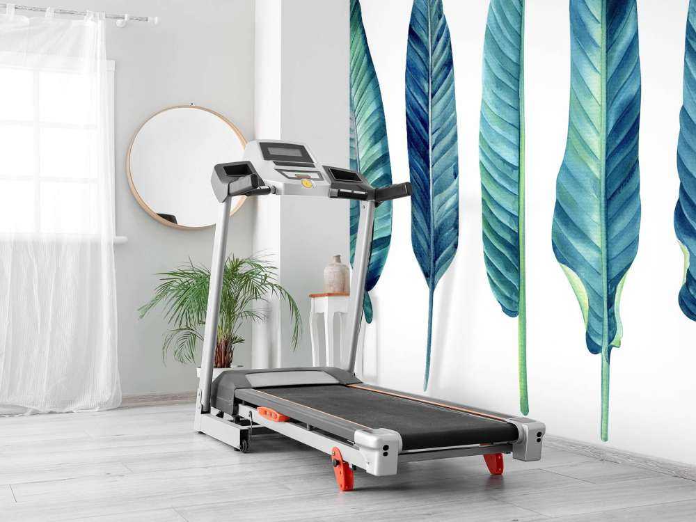 Foglie tropicali su sfondo bianco