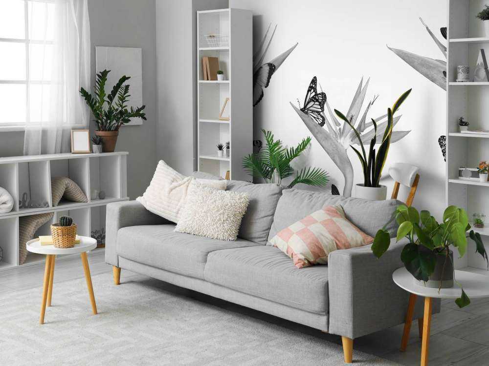 Farfalle su fiori di uccello del paradiso