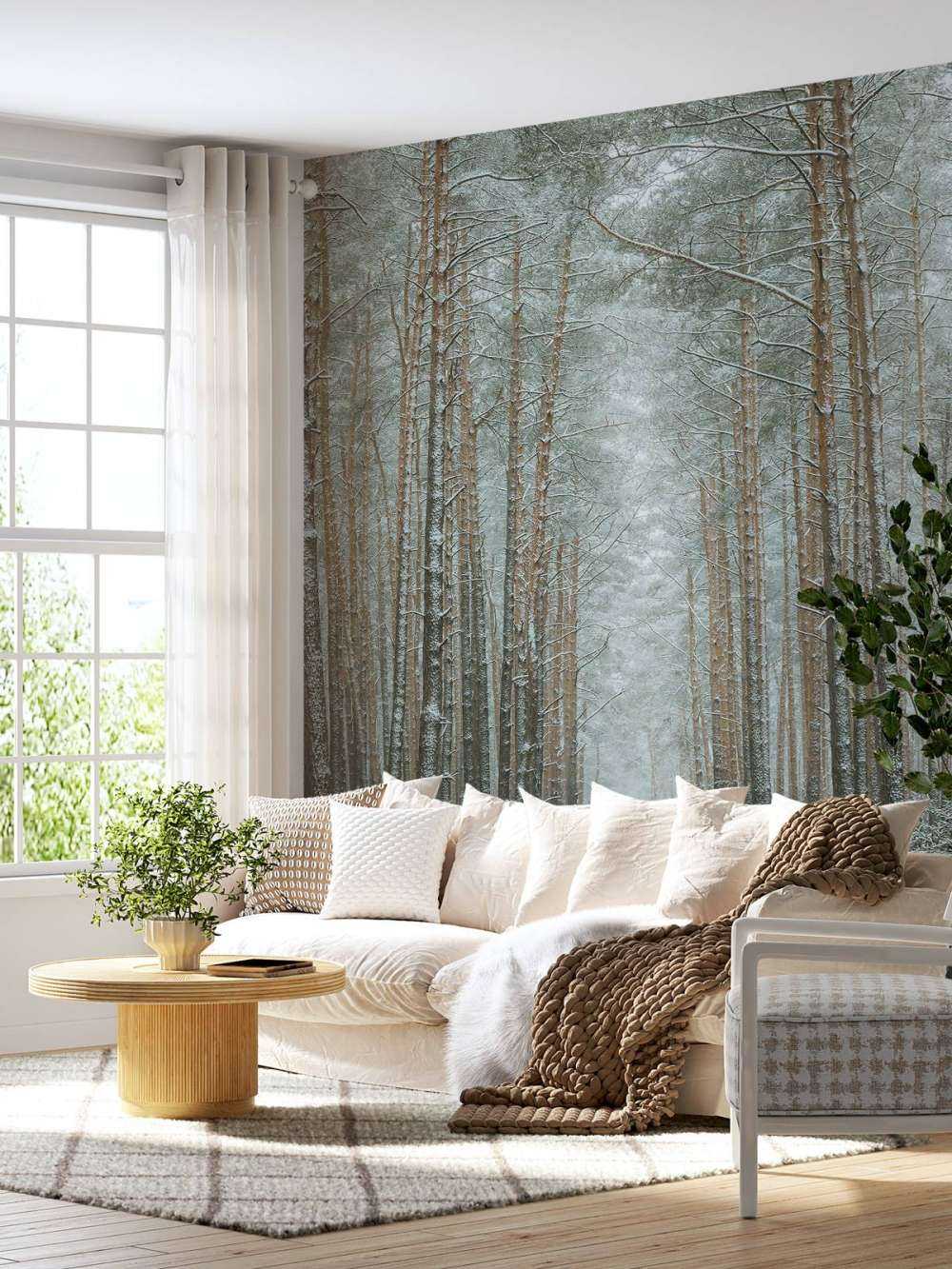 The winter forest road