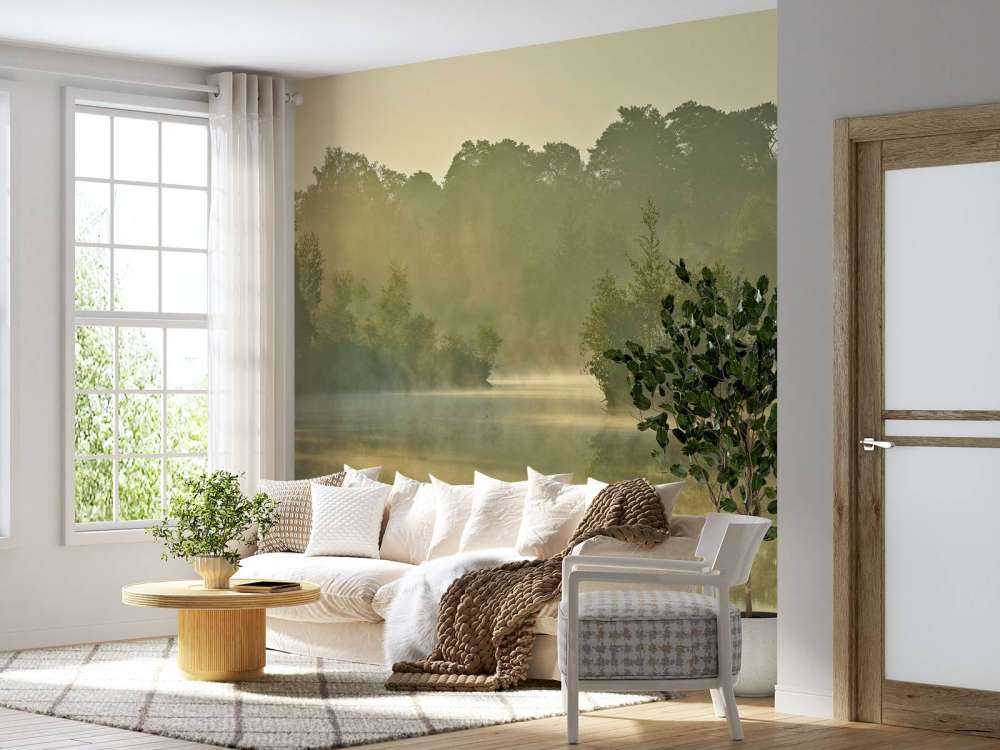 Nebulosa sopra un lago forestale