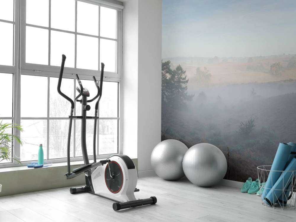 Nebbia sulla brughiera