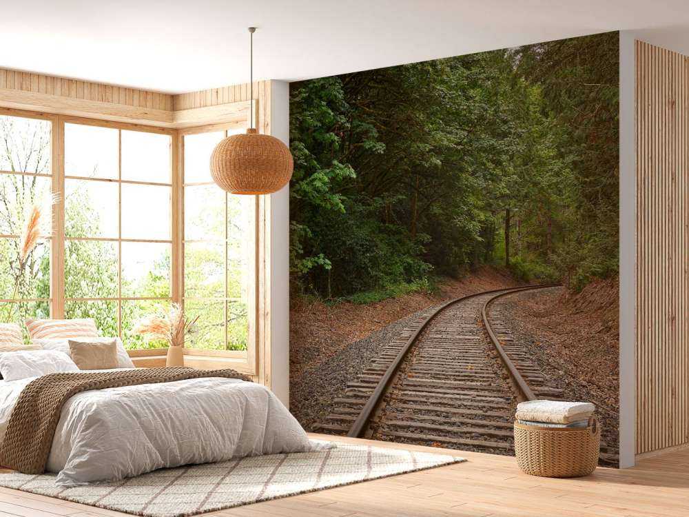 Linea ferroviaria attraverso la foresta