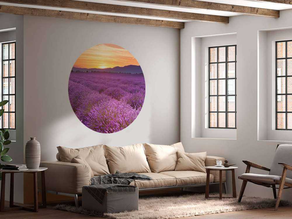 Campo pieno di lavanda