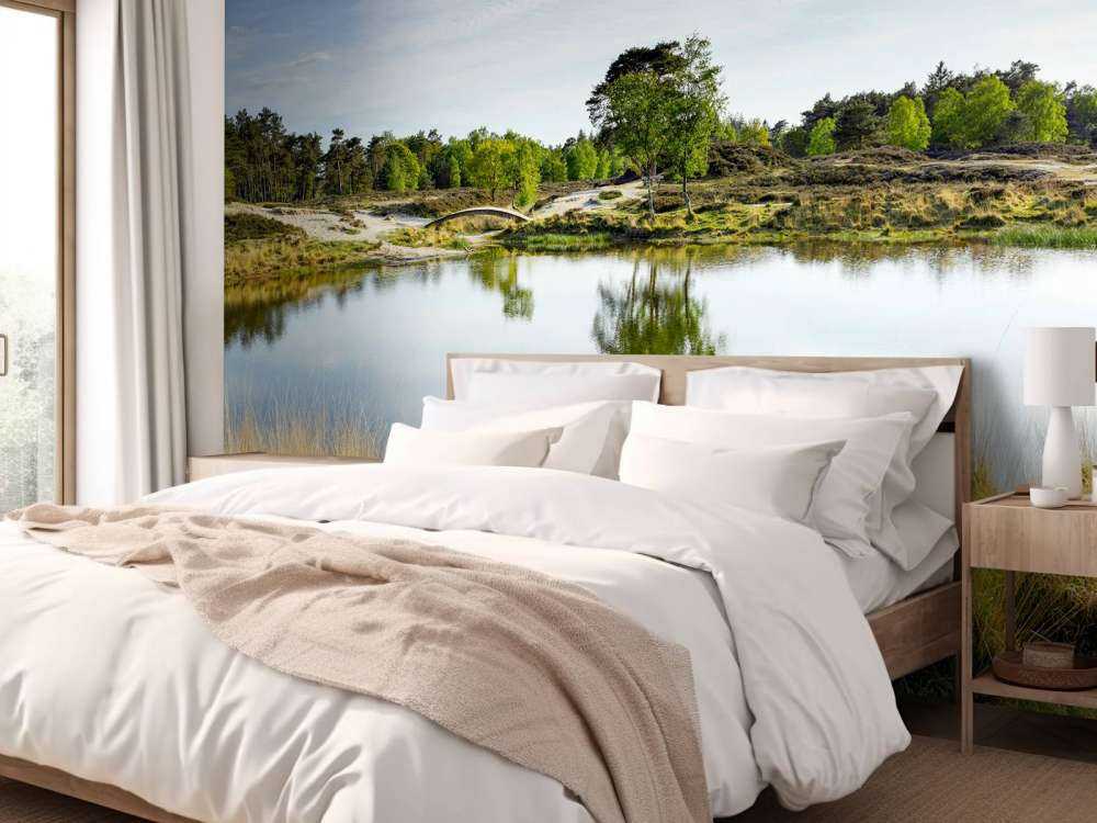 Un piccolo lago forestale nella zona brughiera 