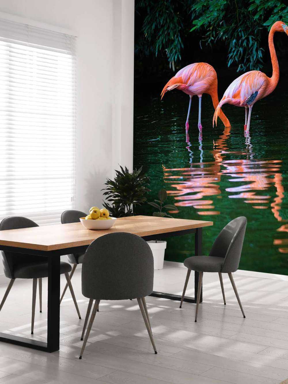 Due fenicotteri caraibici