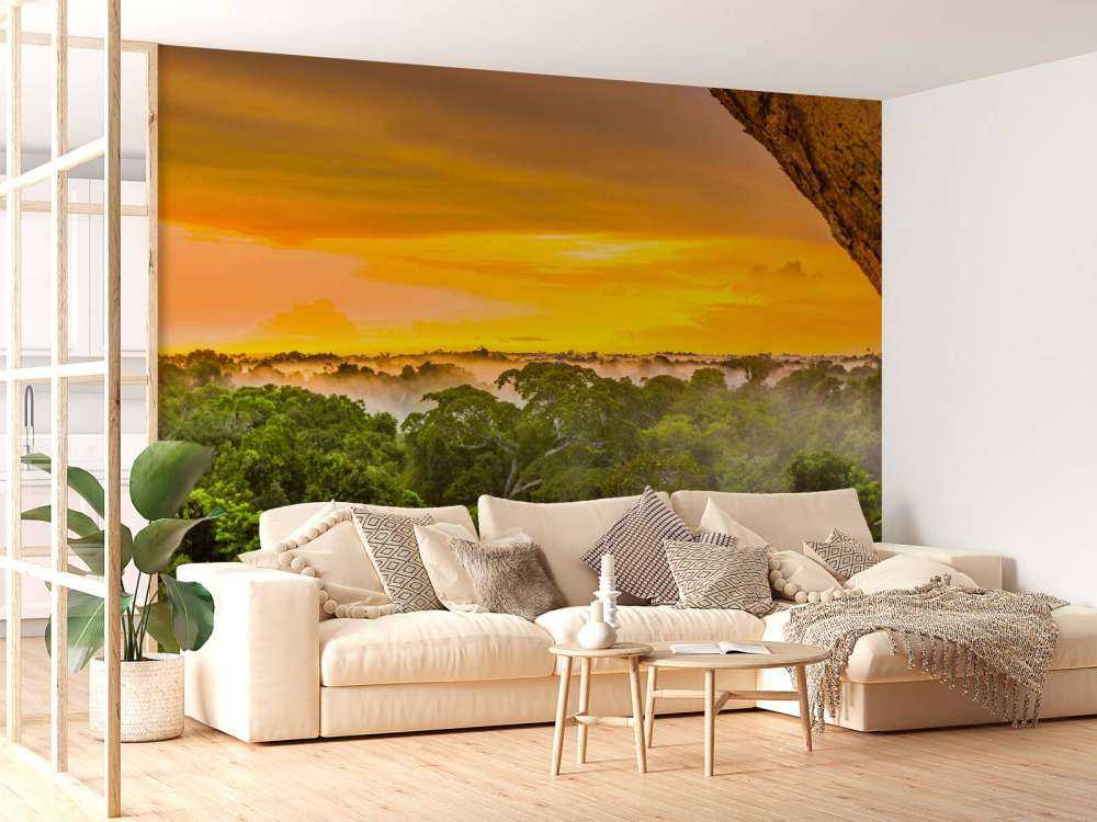 Foresta pluviale in Brasile 