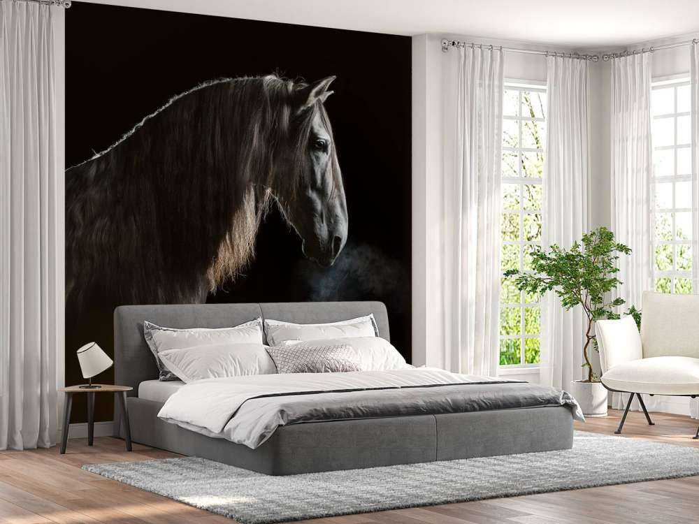 Stampo con sfondo nero