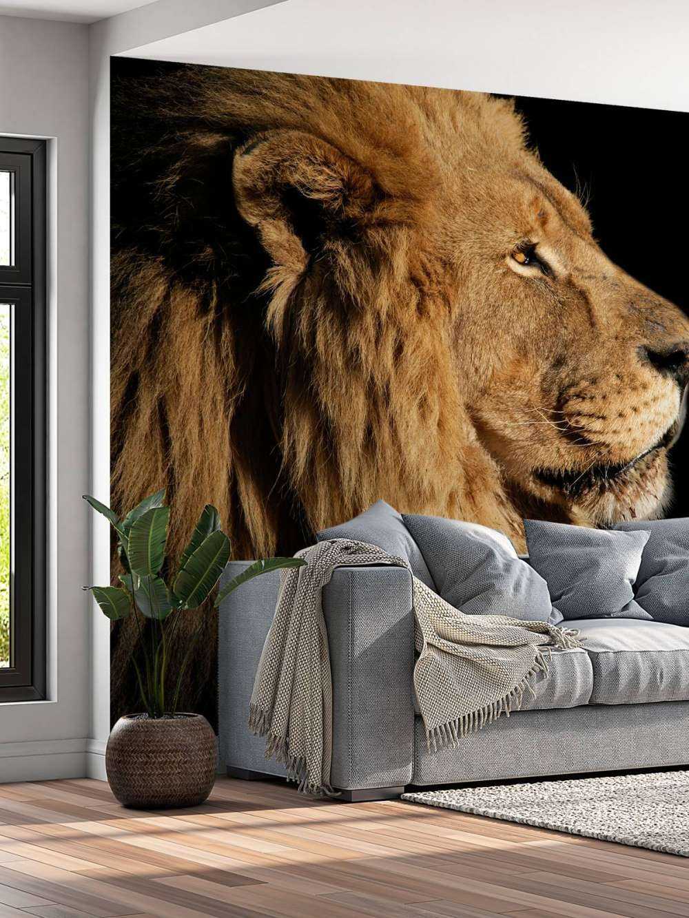 Profilo laterale di un leone