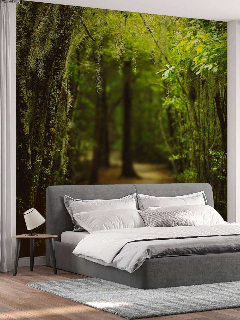 Foresta spagnola piena di muschio