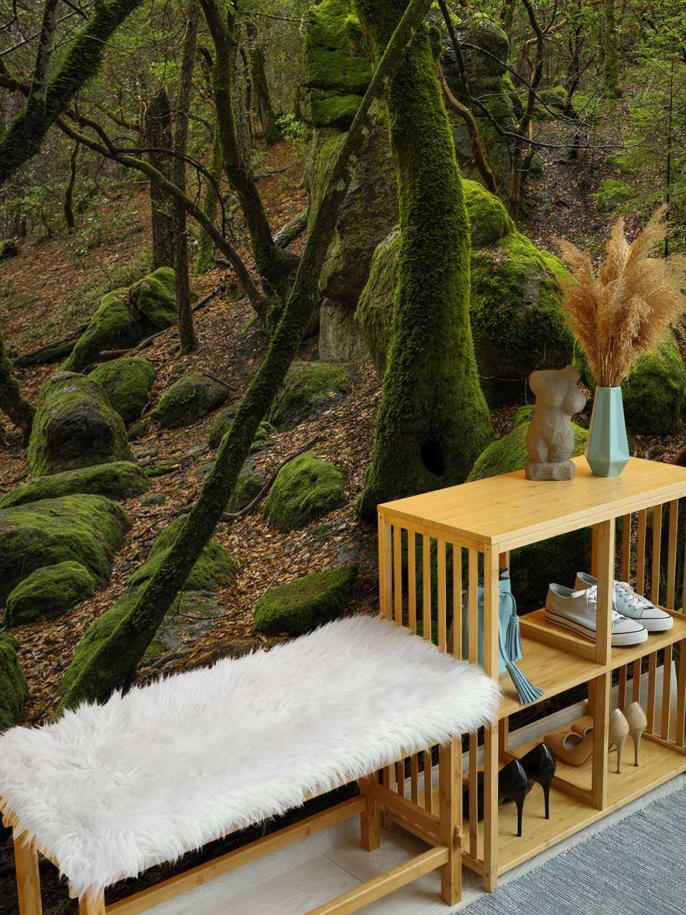 Alberi e pietre di muschio