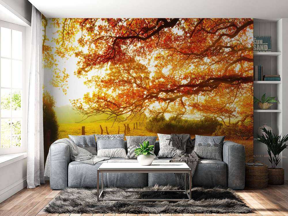 Paesaggio autunnale con bosco e prato