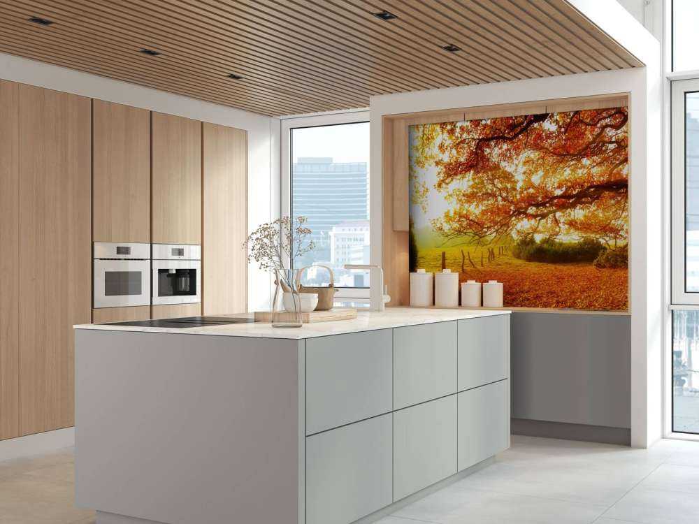 Paesaggio autunnale con bosco e prato