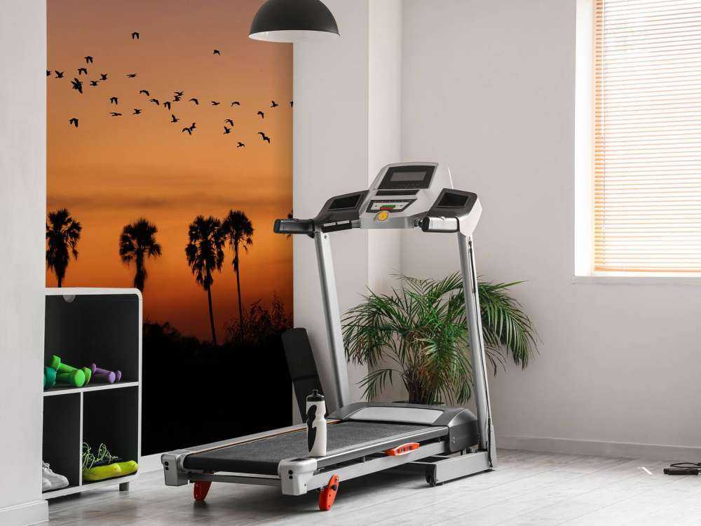 Palme con gruppo di uccelli