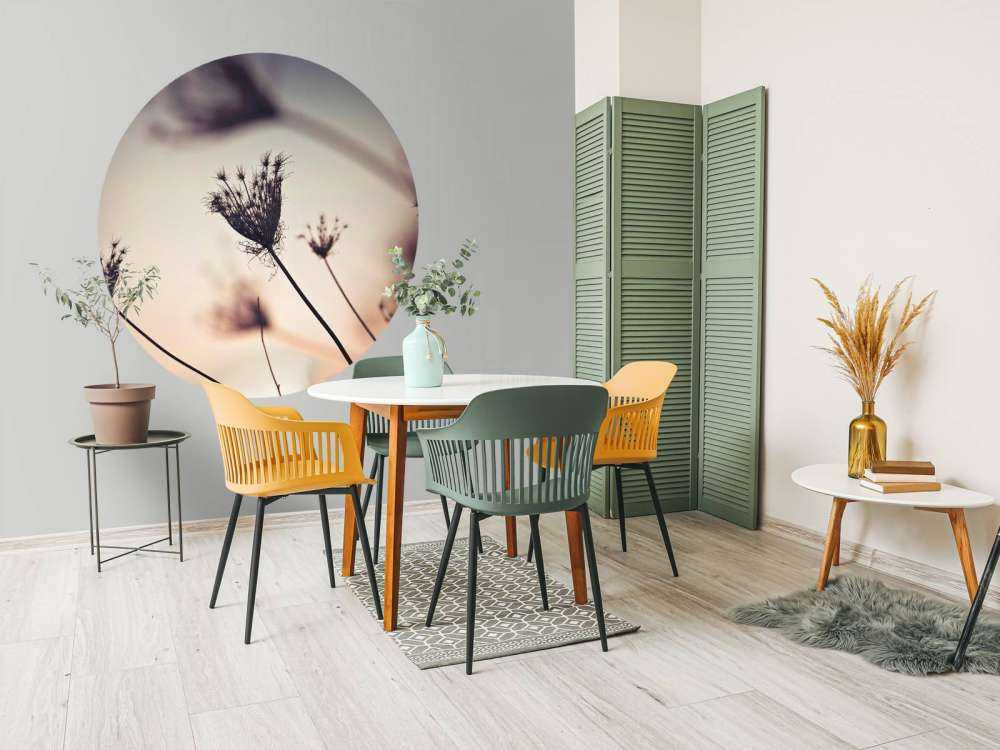 Silhouette di piante