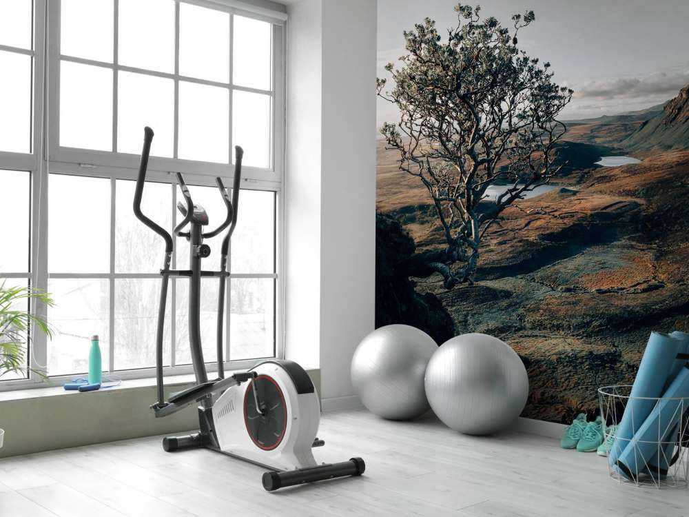 L'inizio della giornata