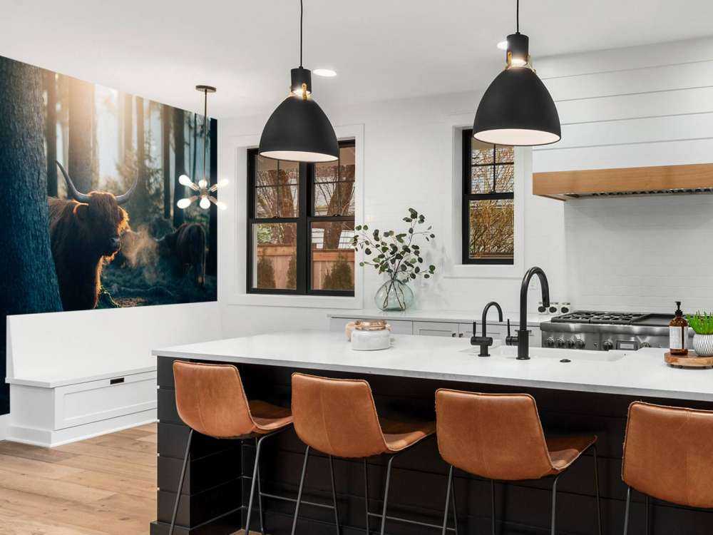 Highlander scozzese nella luce del mattino