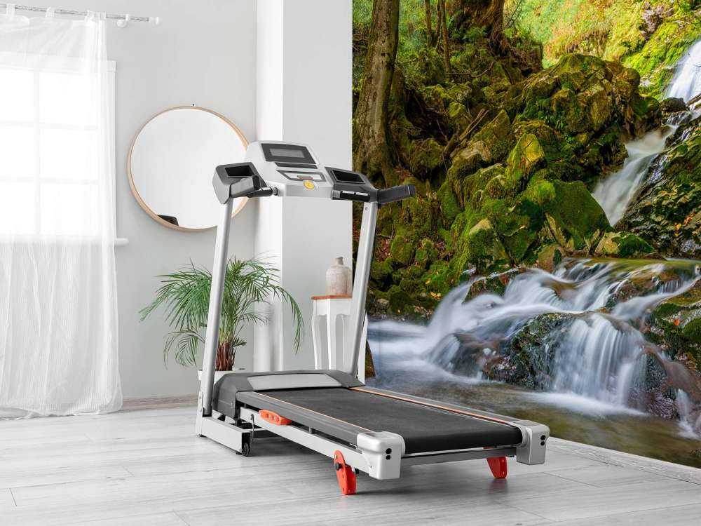 Cascata in mezzo alla foresta