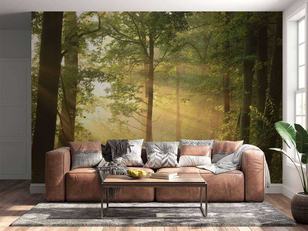 Nebbiosa mattina di primavera