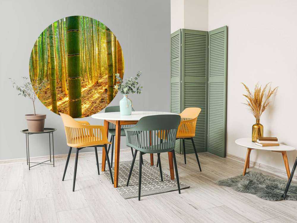 Foresta di bambù all'alba