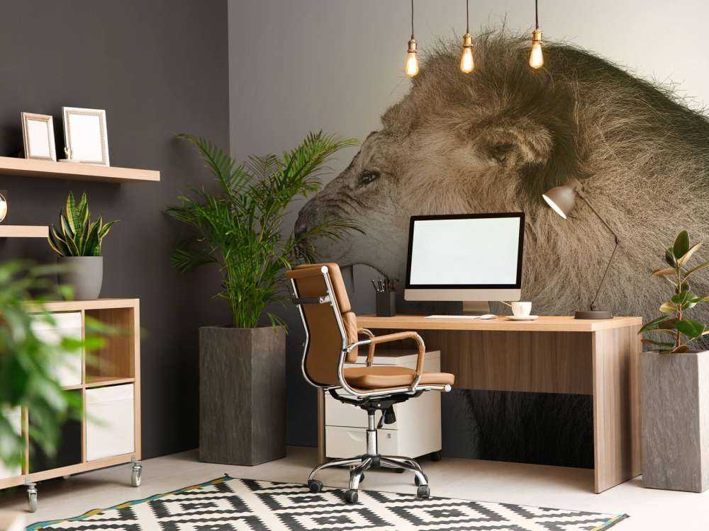 Leone ruggente bianco