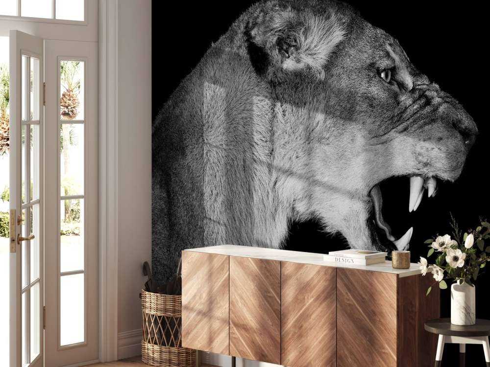 Vista laterale leonessa nera